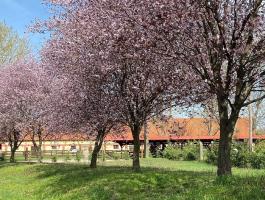 Családias farmunkra munkatársat keresünk