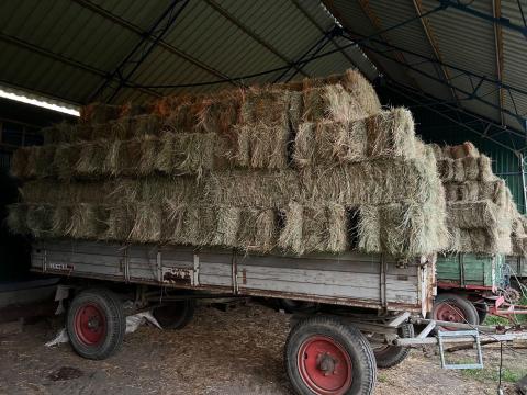 Kisbálás réti széna eladó Kisbálás réti széna eladó
