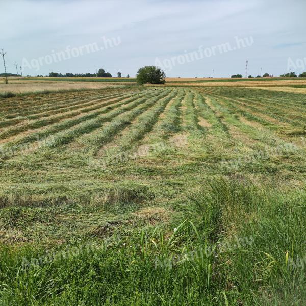 Fűszéna kiskockabála