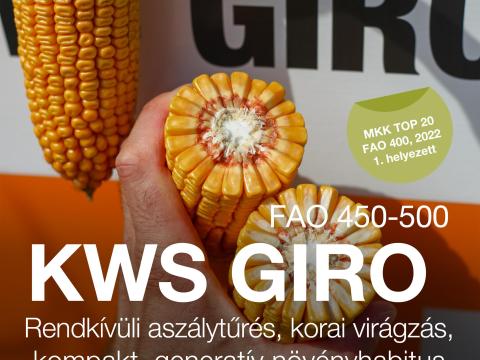 KWS GIRO (FAO 450-500) kukorica vetőmag