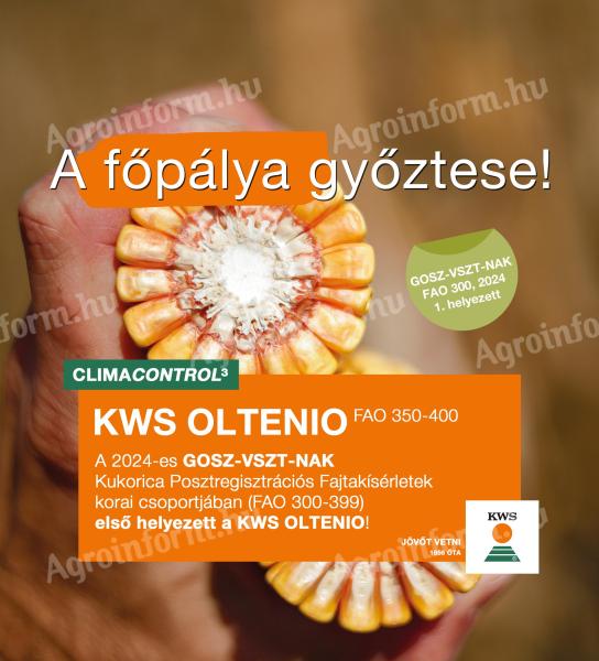 KWS OLTENIO (FAO 350-400) kukorica vetőmag