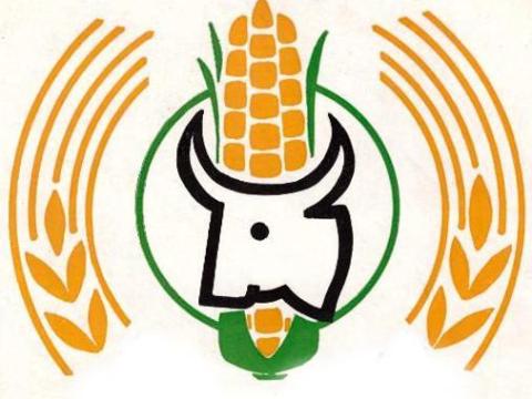 Dél-somogyi családi jellegű gazdaság fiatalos csapata agronómus kollégát keres Dél-somogyi családi jellegű gazdaság fiatalos csapata agronómus kollégát keres