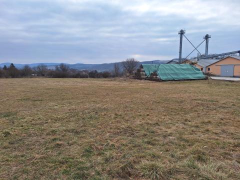 Vöröshere-széna eladó