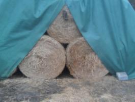 140x125-ös hálós körbála búzaszalma eladó