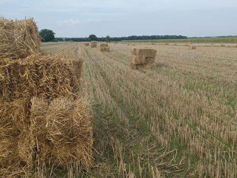 Idei kiskocka szalmabála