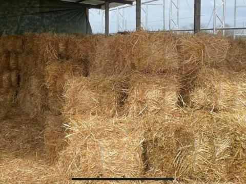 Kisbálás szalma Kisbálás szalma