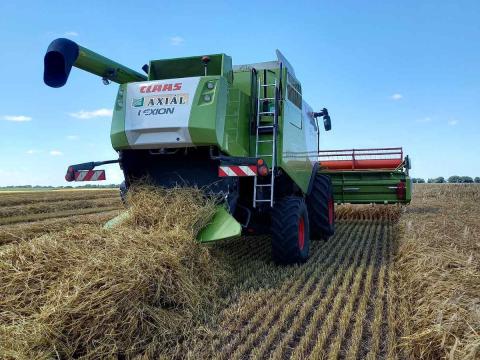 Claas Lexion 650 kombájn eladó