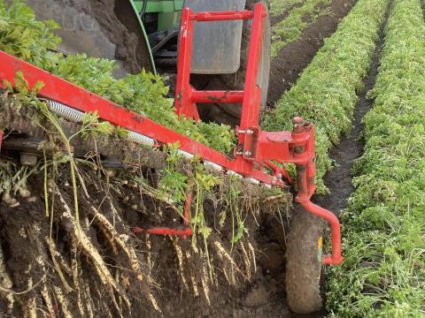 SIMON RÉPA,  PETREZSELYEM BETAKARÍTÓ,  HIBÁTLAN ÁLLAPOTBAN SIMON RÉPA,  PETREZSELYEM BETAKARÍTÓ,  HIBÁTLAN ÁLLAPOTBAN