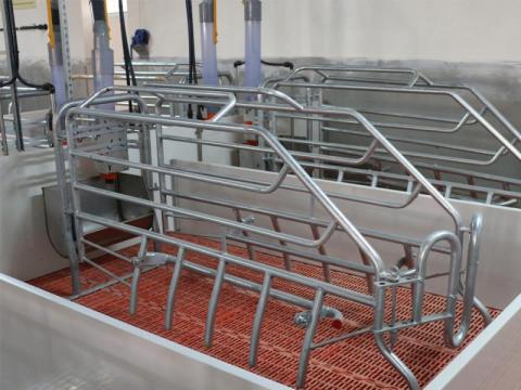 Sertés fiaztató kutrica Sertés fiaztató kutrica