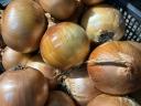 Tavaszi vetésű vöröshagyma eladó 50–70 mm, illetve 70 mm feletti méretben