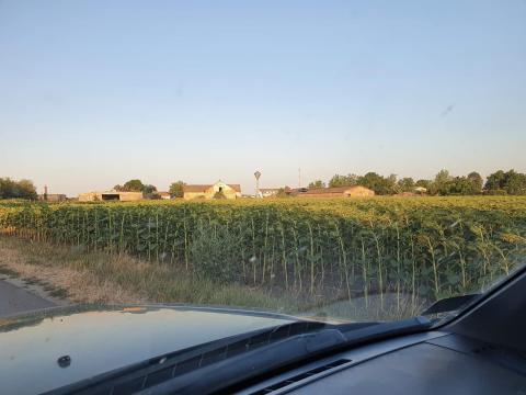 Eladó ÁTK pályázatokra alkalmas állattartó telep JNSZM-ben Eladó ÁTK pályázatokra alkalmas állattartó telep JNSZM-ben