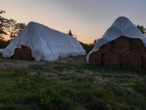Eladó körbálás szalma Eladó körbálás szalma