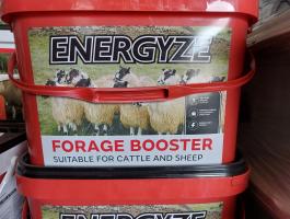 Nyalótál gyenge minőségű takarmány etetésekor juhok és szarvasmarháknak