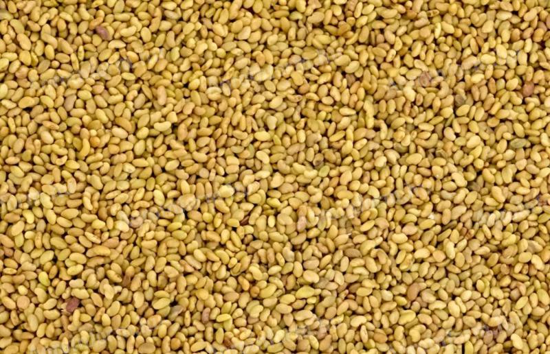 AS-1 lucerna vetőmag személyes átvétellel vagy házhoz szállítással