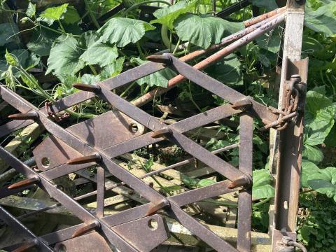 Fogas borona Fogas borona