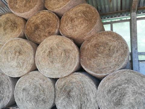 Körbálás réti széna, hálós körbála, széna bála eladó Körbálás réti széna, hálós körbála, széna bála eladó