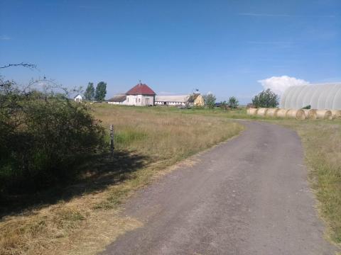 Eladó Komplett Gazdaság Kelet-Magyarország Szívében Eladó Komplett Gazdaság Kelet-Magyarország Szívében