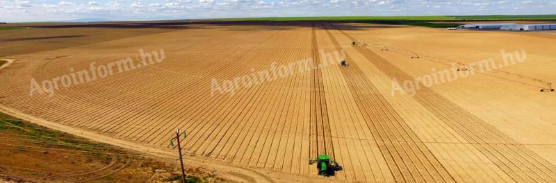 Agronet RTK Korrekciós szolgáltatás