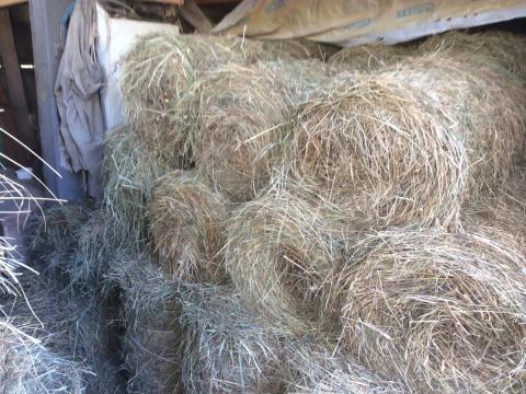 Kisbálás réti széna, kis hengerbálás réti széna Kisbálás réti széna, kis hengerbálás réti széna