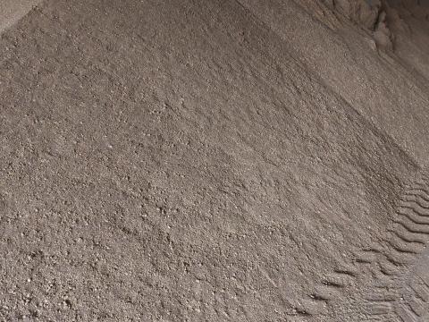 Extrahált repcedara Extrahált repcedara