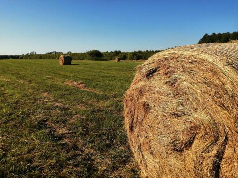 Nagybálás réti széna (150) kb 300-350 kg felrakással együtt Nagybálás réti széna (150) kb 300-350 kg felrakással együtt