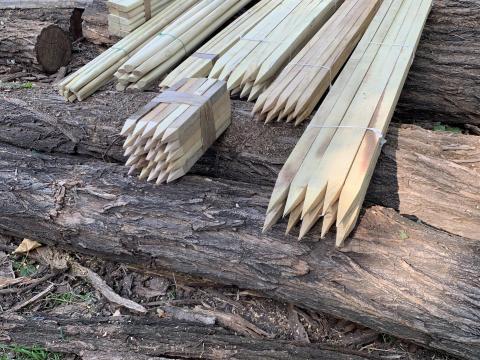 Akáckaró Akáckaró