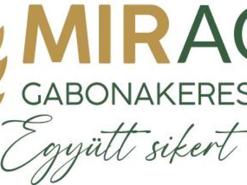 Durum- és tönkölybúza-vásárlás országszerte Durum- és tönkölybúza-vásárlás országszerte