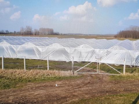 KITE vándorfólia váz eladó 1500 m² KITE vándorfólia váz eladó 1500 m²