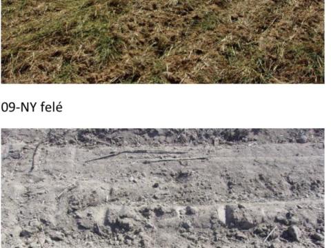 Perōcsèny - szàntó Perōcsèny - szàntó