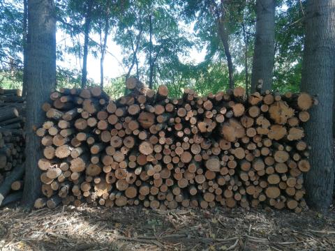 Akác tűzifa eladó Akác tűzifa eladó