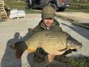 Extra méretű,  8-10 kg-os ponty eladó,  4000 Ft/kg