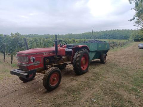 Cabernet franc szőlő eladó Cabernet franc szőlő eladó