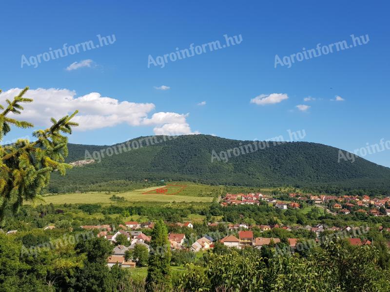 FELSŐTÁRKÁNY leggyönyörűbb helyén,  csodás panorámával 2,5 ha külterületi telek eladó