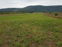 FELSŐTÁRKÁNY külterületén csodás panorámával KÉT TELEK (összesen 3,6 ha) ELADÓ