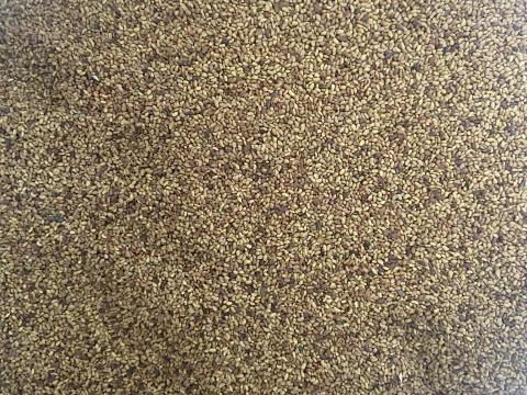 Szarvasi tisztított aranka mentes lucernamag eladó Szarvasi tisztított aranka mentes lucernamag eladó