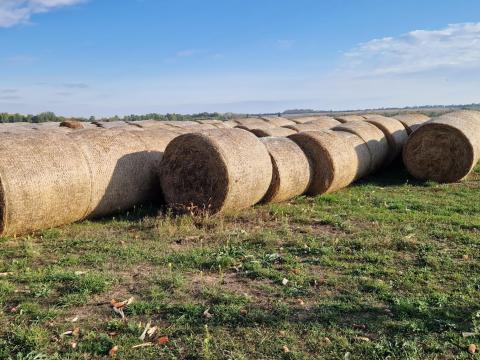 Réti széna bála Réti széna bála