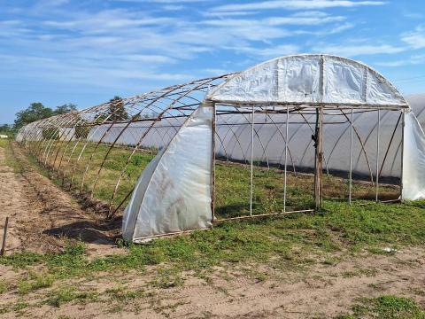 Fóliasátor, fóliaváz eladó Fóliasátor, fóliaváz eladó