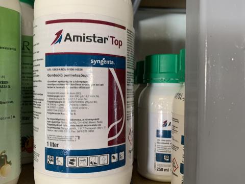 AMISTAR TOP GOMBAÖLŐSZER 1/1 AMISTAR TOP GOMBAÖLŐSZER 1/1