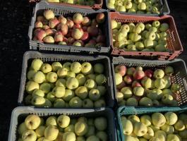 Léalma eladó Ráckevén