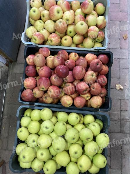 Étkezési alma eladó Ráckevén – alma közvetlenül a termelőtől