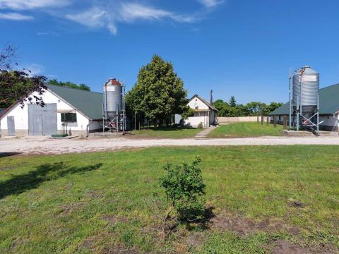 Eladó tanya/telep Fejér megyében, az M7 autópályától 6 km-re lévő Gárdony-Dinnyésen Eladó tanya/telep Fejér megyében, az M7 autópályától 6 km-re lévő Gárdony-Dinnyésen