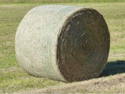 Lucernabála eladó Lucernabála eladó