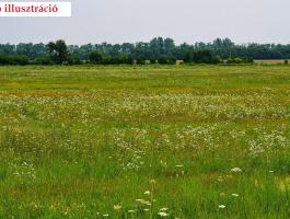 Markotabödögén,  nagyon szép környéken 1 hektáros rét eladó