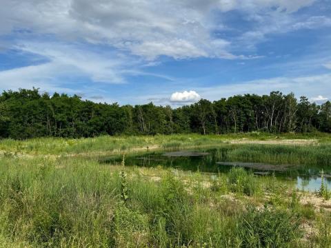 Répcelakon eladó vagy kiadó egy 20.903 m2-es terület 7.000 m2 tóval Répcelakon eladó vagy kiadó egy 20.903 m2-es terület 7.000 m2 tóval