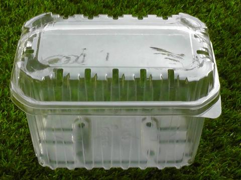 Műanyag doboz /kiwis/ gyümölcskosár 1000 ml tetővel Műanyag doboz /kiwis/ gyümölcskosár 1000 ml tetővel