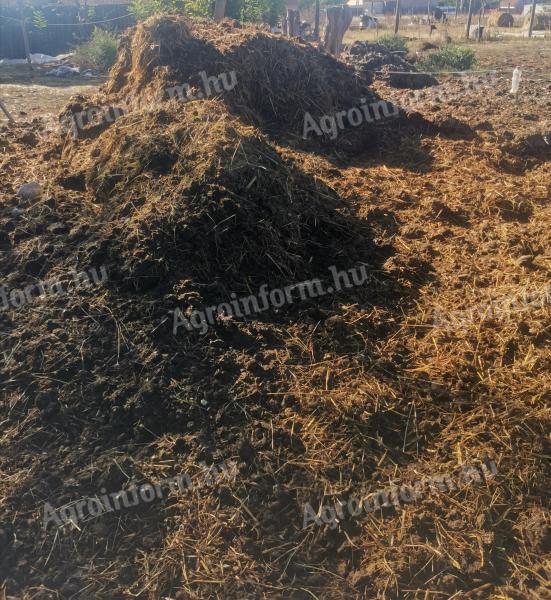 Eladó szarvasmarha trágya