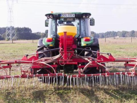 Klimza gyomfésű Klimza gyomfésű