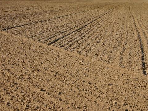 Családi gazdaság Szántóföldet bérelne hosszú távra Családi gazdaság Szántóföldet bérelne hosszú távra