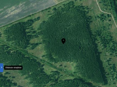 Eladó erdő Eladó erdő