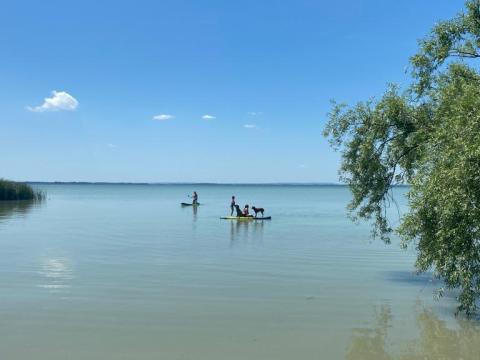 Badacsonytomajon,  pár száz méterre a Balatontól,  1067 m2-es telek eladó Badacsonytomajon,  pár száz méterre a Balatontól,  1067 m2-es telek eladó